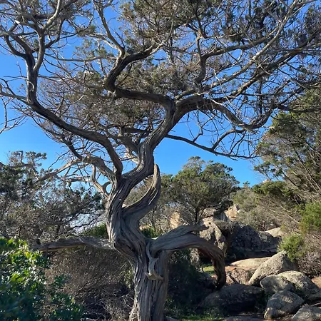 Milella キャンプ場 2*