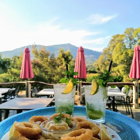 Milella キャンプ場