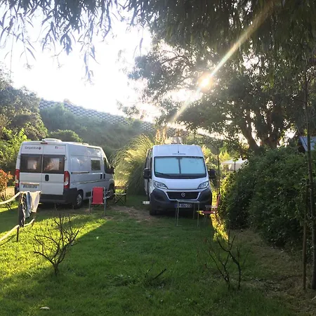 Milella Propriano (Corsica)