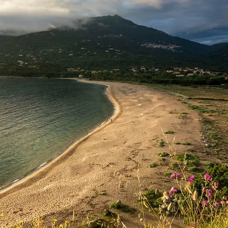 Milella Propriano (Corsica)