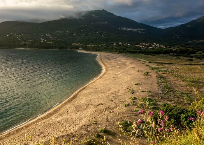 Milella Propriano (Corsica)